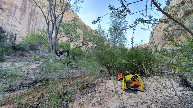 Hackberry Canyon