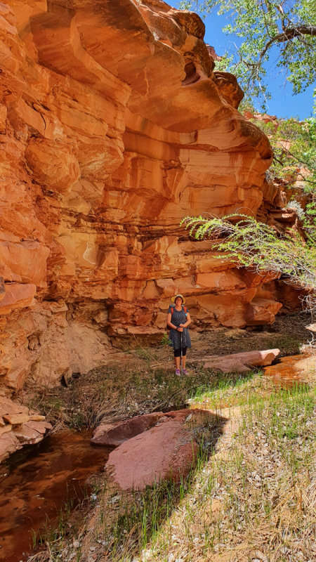 Hogeye Canyon- some xc travel before descending into attractive Hogeye Canyon with some good water!