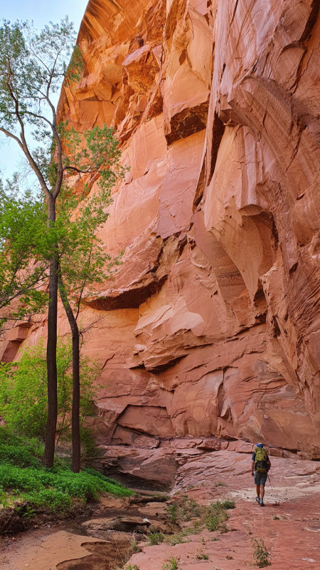 Hogeye Canyon