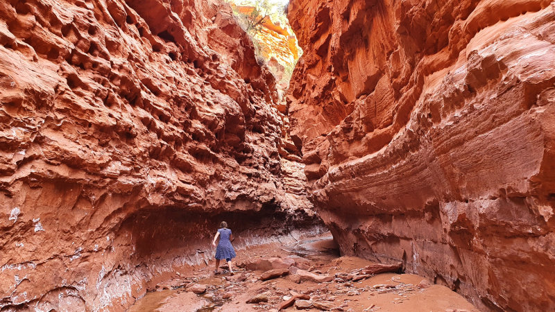 Starlight Canyon narrows