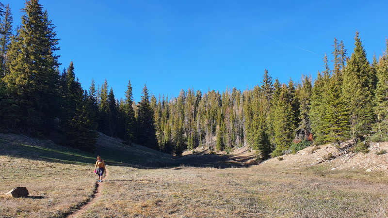 Arizona Trail 