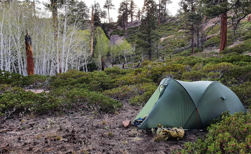 Dry camp nestled in some aspens below Nankoweap TH