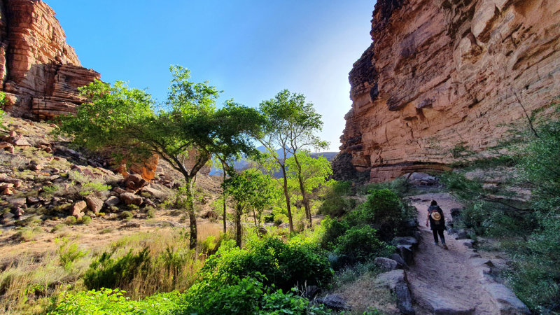 Lush hiking for a short while past the springs