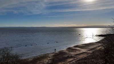 Feb 19 Eathie shore Black isle