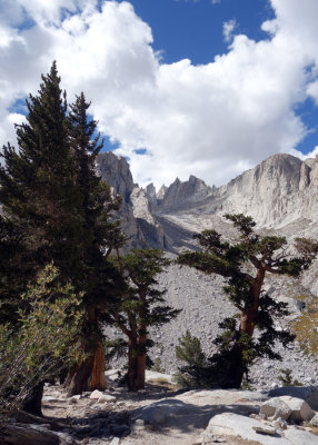 Foxtail pines and back up to Whitney summit