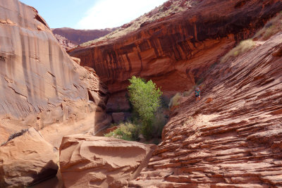 Scrambly section at lower Coyote Gulch