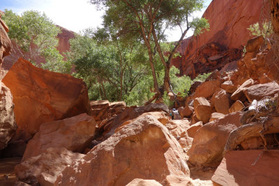 Jumble of boulders in Coyote Gulch