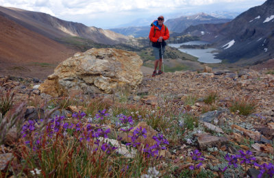 South from Koip Peak Pass after rain
