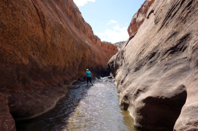 Wading down Boulder Creek narrows 