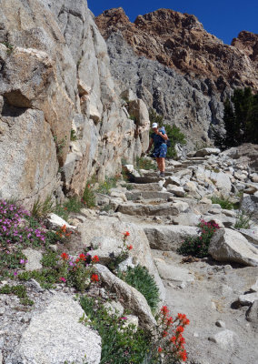 Trail to Piute Pass as it ascends nicely above the treeline