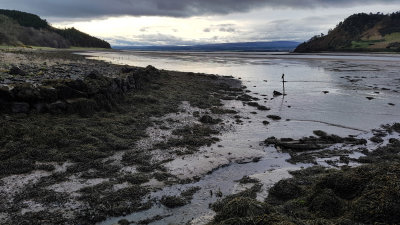 April- Munlochy quarry whilst hiking around the shore at low tide