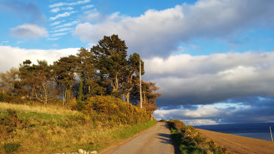 April- Above Avoch in evening light