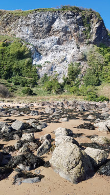 April- coast north of Rosemarkie