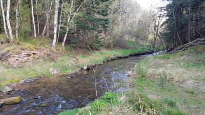 April- I was delighted to discover a way to connect Rosehaugh estate with Munlochy via this river crossing