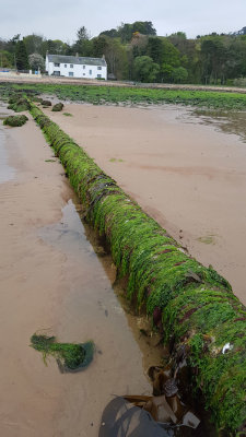 May- Very low tides at Rosemarkie