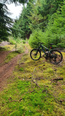 Jan 22 Rosehaugh mountain biking, Black Isle