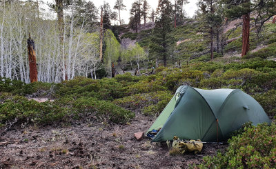 2022 May 7th US Hayduke hike- Nankoweap on the rim of the Grand canyon, sheltering amongst aspen from gale force winds