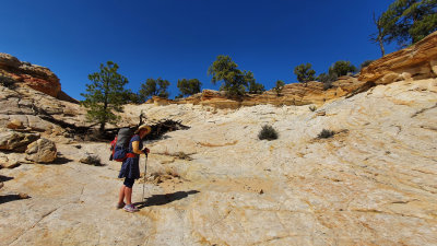 Boulder Mail Trail- Heading west from near Boulder town and hitting slickrock