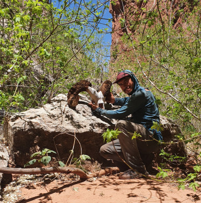 We met another hiker Peter in Saddle Canyon