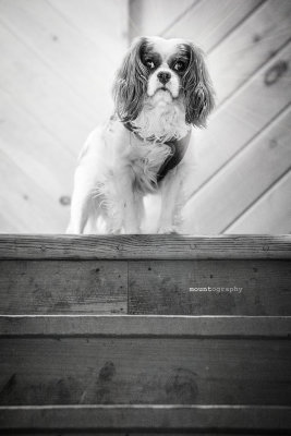 Top of the stairs