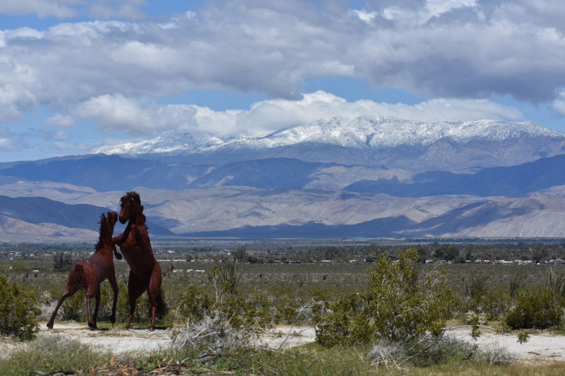 Anza Borrego