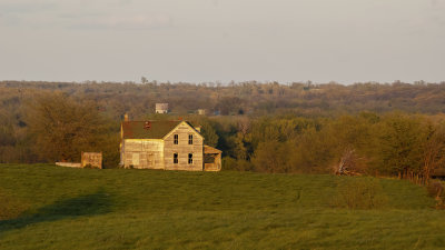 Scenes from the Prairie