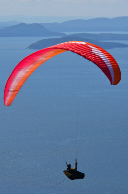 Kite Flying (Samish Overlook)