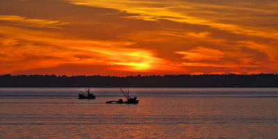 Bellingham Sunset