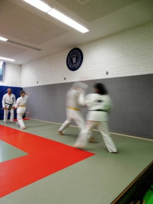  2019 Gemeinsamen Training AIKIDO & SDC (11).JPG