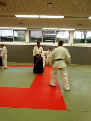  2019 Gemeinsamen Training AIKIDO & SDC (13).JPG