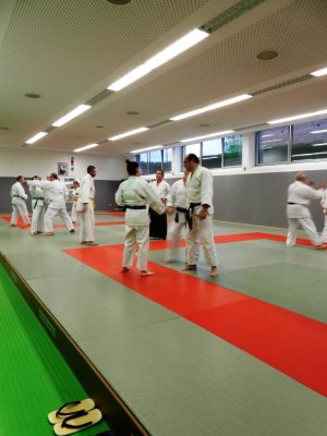 2019 Gemeinsamen Training AIKIDO & SDC (33).JPG