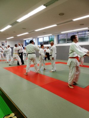 2019 Gemeinsamen Training AIKIDO & SDC (34).JPG