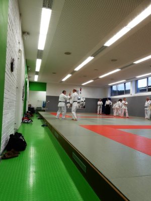 2019 Gemeinsamen Training AIKIDO & SDC (42).JPG