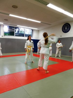 2019 Gemeinsamen Training AIKIDO & SDC (8).JPG