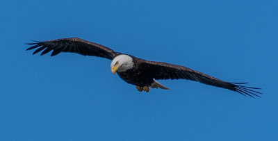 DSC_6674.jpg
