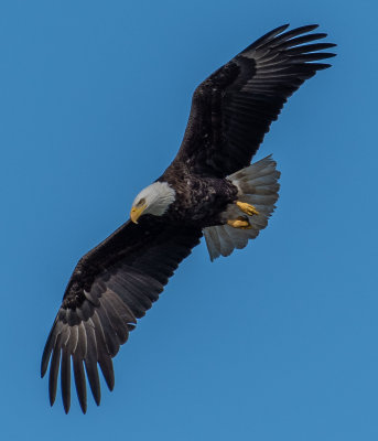 DSC_6718.jpg