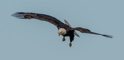 DSC_6736.jpg