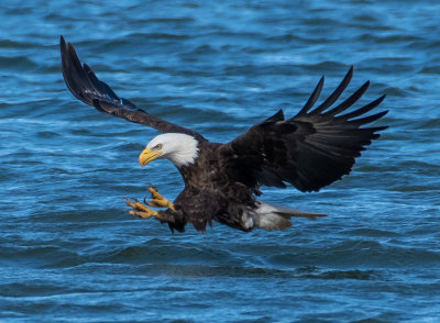 DSC_6743.jpg
