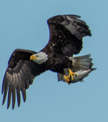 DSC_6778.jpg