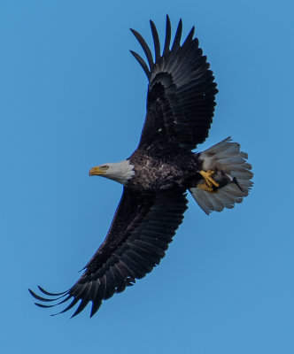 DSC_6783.jpg