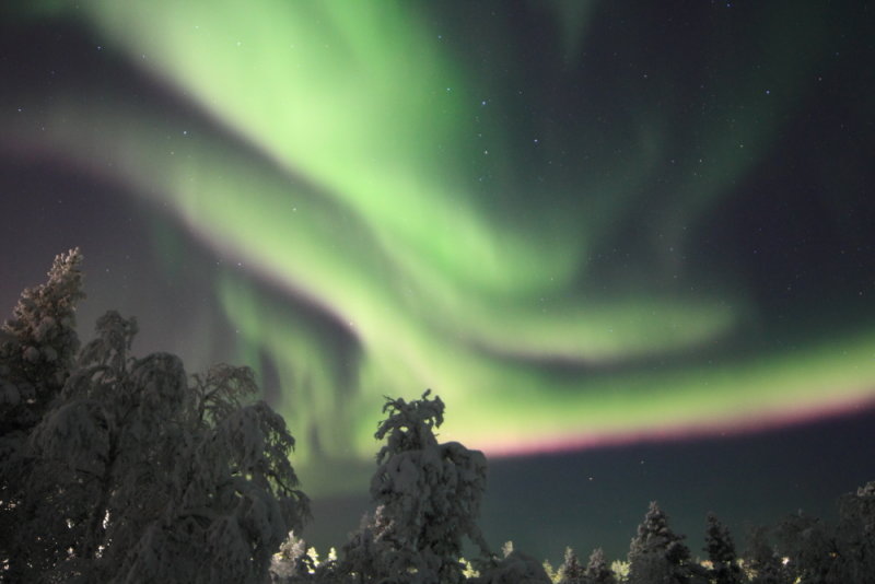 Fast-moving aurora 1/2 February 2019
