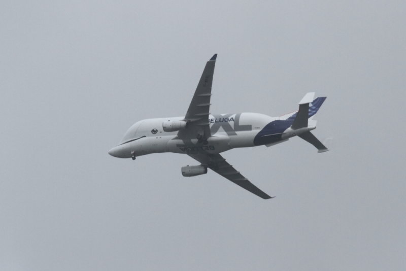 Airbus A330-743L BelugaXL