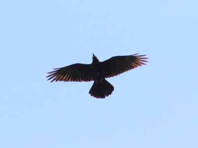 g12/95/921695/3/170964422.OaSEF8n0.jpg