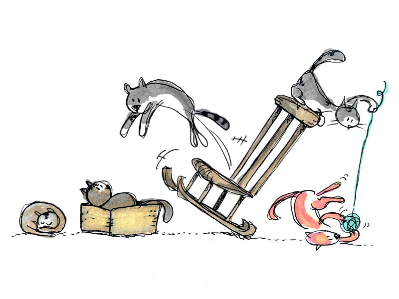 Cats_PB.jpg