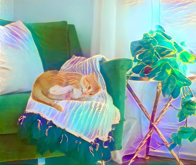 kitten on Afghan 