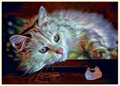 Cat and Toy