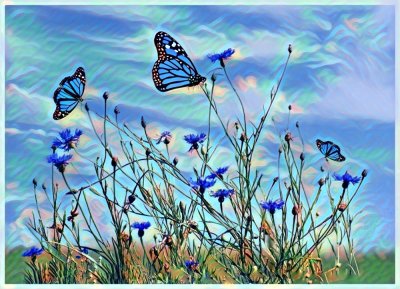 Blue Butterflies 