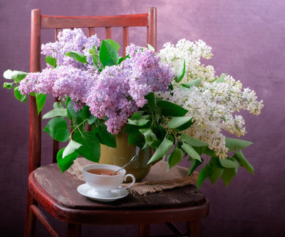 D76C23E5-FD5C-480D-ADBD-8162D8FCB619.jpeg