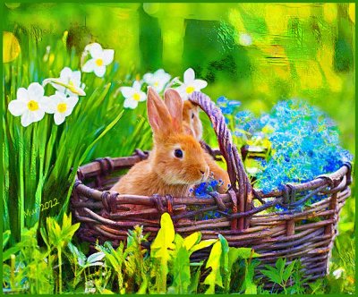 Bunny in the Basket