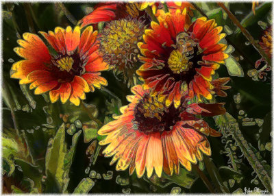 Flowers